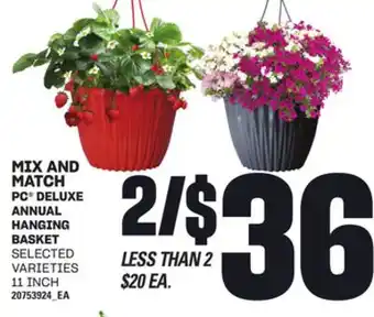 Loblaws PC DELUXE ANNUAL HANGING BASKET, 11 INCH offer