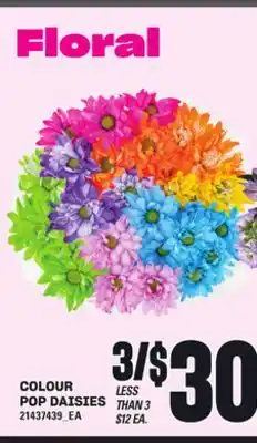 Loblaws COLOUR POP DAISIES offer