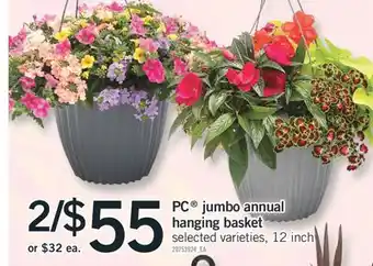 Fortinos PC JUMBO ANNUAL HANGING BASKET, 12 inch offer