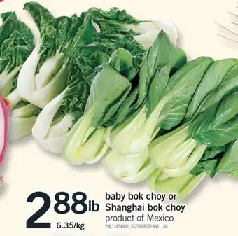 Fortinos BABY BOK CHOY OR SHANGHAI BOK CHOY offer