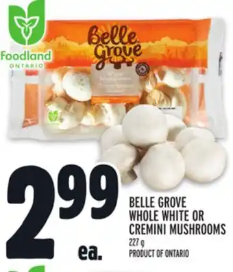 Metro BELLE GROVE WHOLE WHITE OR CREMINI MUSHROOMS offer