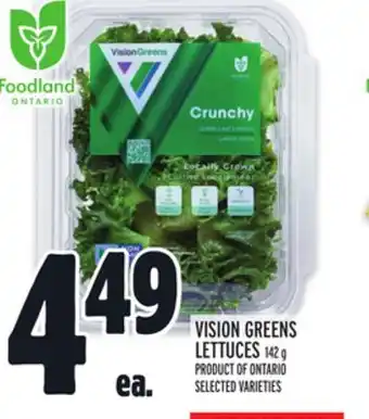 Metro VISION GREENS LETTUCES offer
