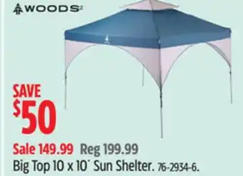 Canadian Tire Woods Big Top 10 x 10´ Sun Shelter offer