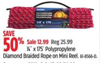 Canadian Tire Ben-Mor ¼˝ x 175´ Polypropylene Diamond Braided Rope on Mini Reel offer