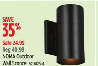 Canadian Tire NOMA Outdoor Wall Sconce offer