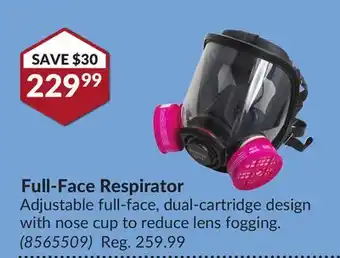 Princess Auto Full-Face Respirator offer