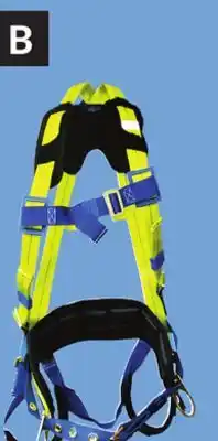 Princess Auto Full-Body Safety Harnesses offer