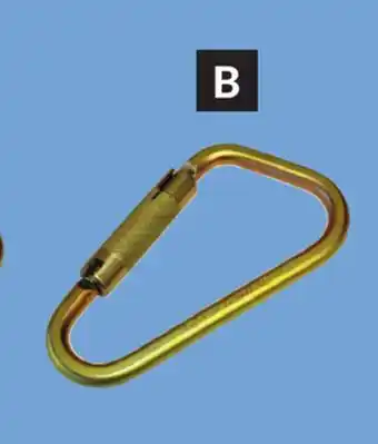 Princess Auto Roofing Carabiners offer