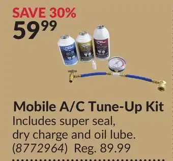 Princess Auto Mobile A/C Tune-Up Kit offer