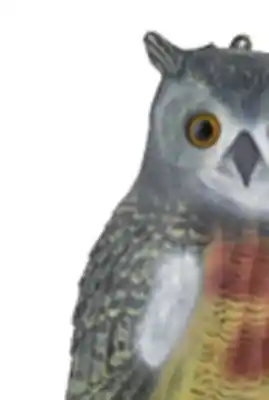 Princess Auto 16 in. Owl Decoy offer