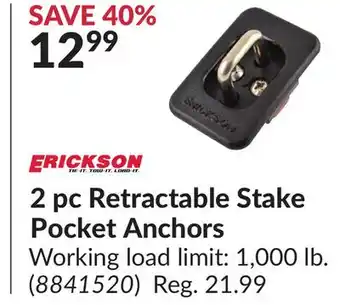 Princess Auto 2 pc Retractable Stake Pocket Anchors offer