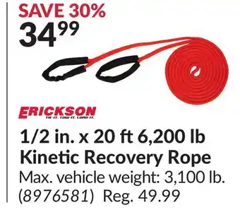 Princess Auto 1/2 in. x 20 ft6,200 lb Kinetic Recovery Rope offer