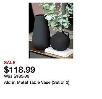 Wayfair Aldrin Metal Table Vase (Set of 2) offer