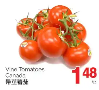 T&T Supermarket VINE TOMATOES offer