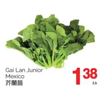 T&T Supermarket GAI LAN JUNIOR MEXICO offer