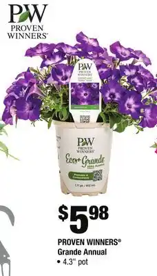 Home Depot PROVEN WINNERS Grande Annual offer