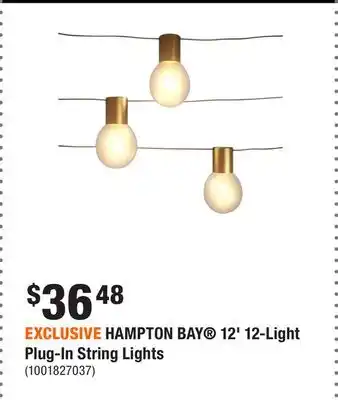 Home Depot EXCLUSIVE HAMPTON BAY 12' 12-Light Plug-In String Lights offer