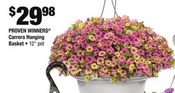 Home Depot PROVEN WINNERS Carrera Hanging Basket offer