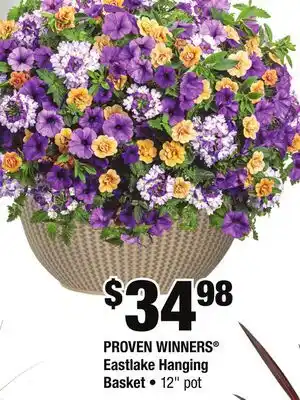 Home Depot PROVEN WINNERS Eastlake Hanging Basket offer