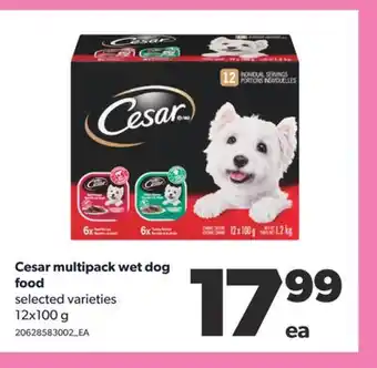 Real Canadian Superstore CESAR MULTIPACK WET DOG FOOD, 12x100 g offer