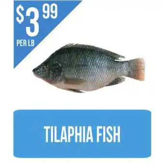 Food World Supermarket Tilaphia fish offer