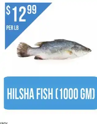 Food World Supermarket Hilsha fish (1000 gm) offer