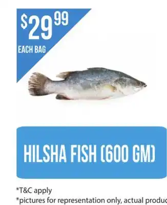 Food World Supermarket HILSHA FISH offer