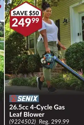 Princess Auto 26.5cc 4-Cycle Gas Leaf Blower offer