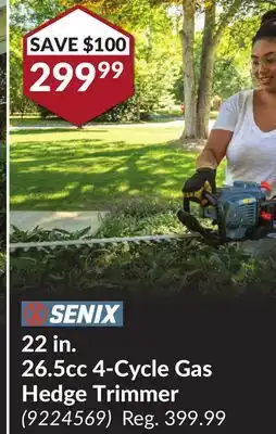 Princess Auto 22 in. 26.5cc 4-Cycle Gas Hedge Trimmer offer