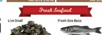 Nations Fresh Foods Live Snail offer