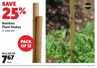 Home Hardware Bamboo Plant Stakes offer