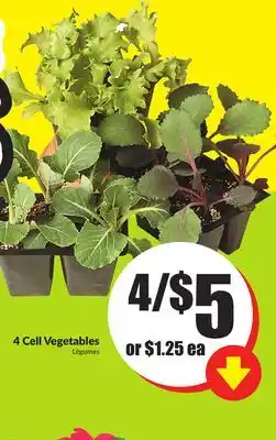 Chalo FreshCo 4 Cell Vegetables offer