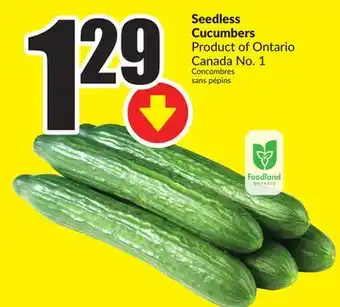 Chalo FreshCo Seedless Cucumbers Product of Ontario Canada No. 1 offer