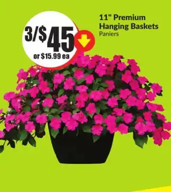 Chalo FreshCo 11 Premium Hanging Baskets offer