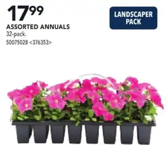 RONA ASSORTED ANNUALS offer