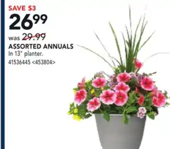 RONA ASSORTED ANNUALS offer
