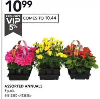 RONA ASSORTED ANNUALS offer