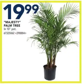 RONA MAJESTY PALM TREE offer