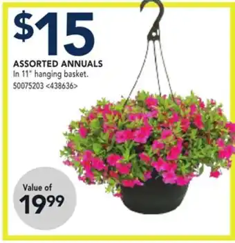 RONA ASSORTED ANNUALS offer