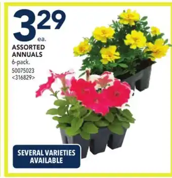 RONA ASSORTED ANNUALS offer