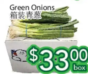 Ample Food Market Green Onions offer