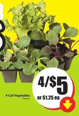 FreshCo 4 Cell Vegetables offer