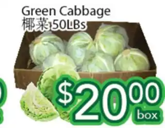 Ample Food Market Green Cabbage offer