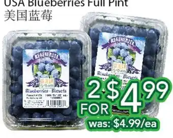 Ample Food Market USA Blueberries Full Pint offer