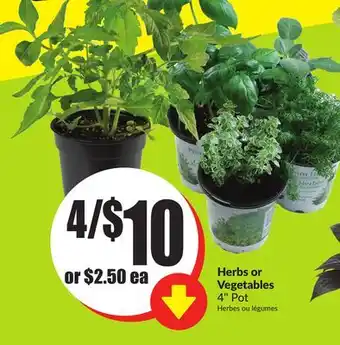 FreshCo Herbs or Vegetables 4 Pot offer