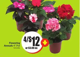 FreshCo Flowering Annuals 4 Pot offer