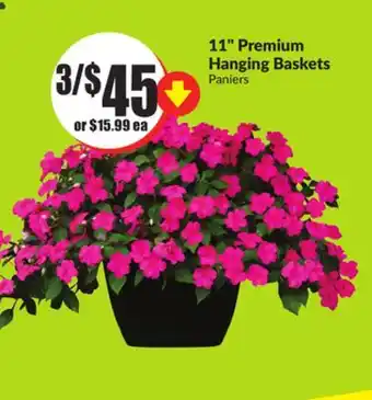 FreshCo 11 Premium Hanging Baskets offer