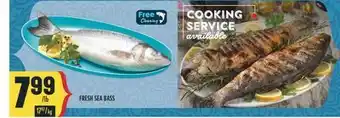 Marché Adonis FRESH SEA BASS offer