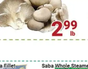 Oceans Fresh Food Market Organic Oyster Mushroom offer