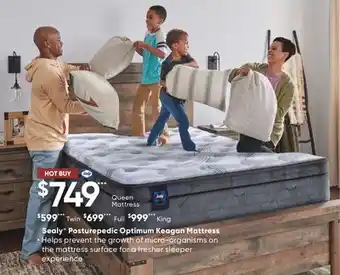 Sleep Country Sealy Posturepedic Optimum Keagan Mattress offer